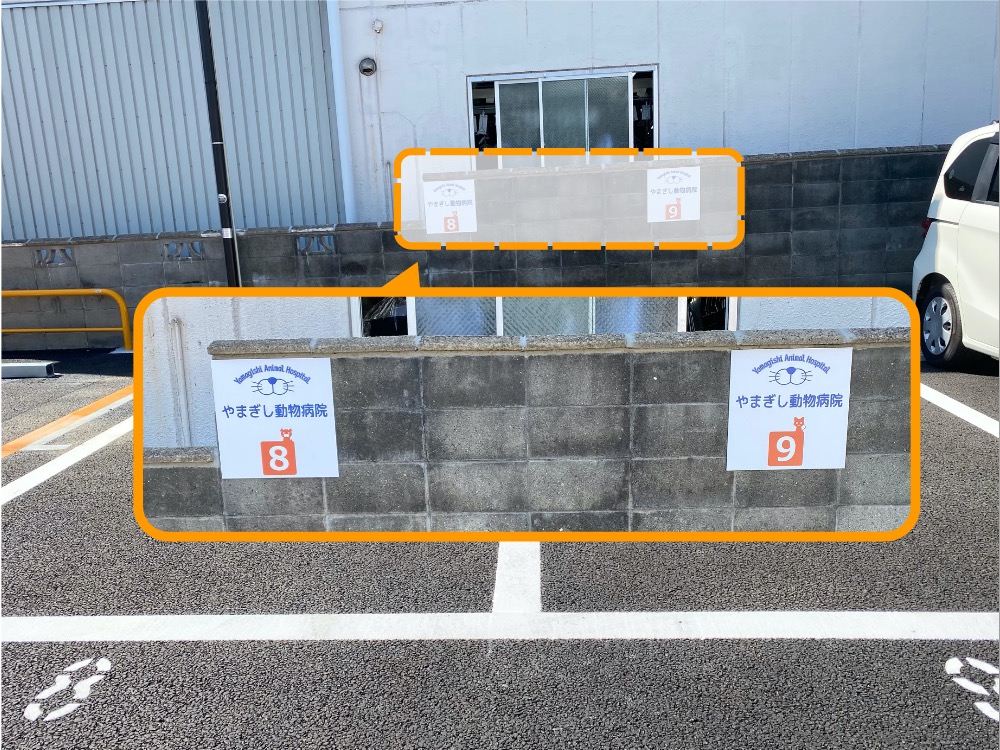 No.8およびNo.9をご利用ください